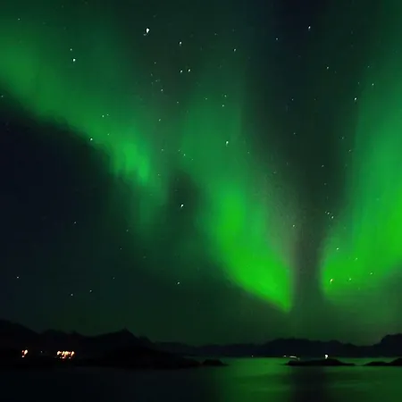Modern Oceanfront In The Centre Of Lofoten Villa